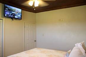 Fishtail Palms Exuma