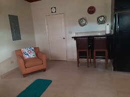 Fishtail Palms Exuma