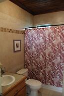 Fishtail Palms Exuma