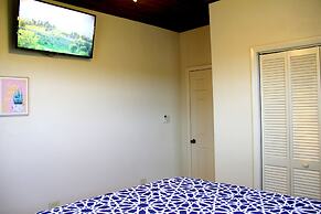 Fishtail Palms Exuma