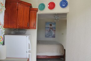 Fishtail Palms Exuma