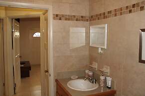 Fishtail Palms Exuma