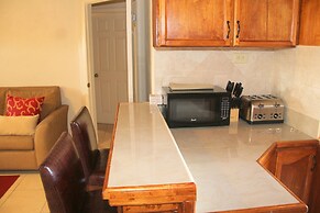 Fishtail Palms Exuma