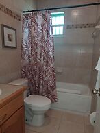 Fishtail Palms Exuma