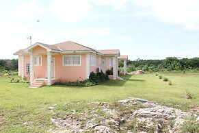 Fishtail Palms Exuma