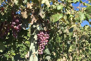 Olive Tree Villa 3 Double Bedrooms With Spectacular Mountain Sea View