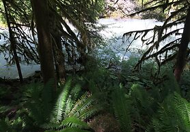 Mt Baker Lodging's Cabin #1 - With Wifi, Hot Tub, Pet Friendly