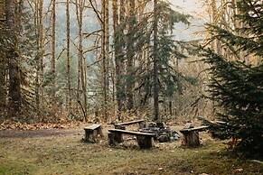 Mt Baker Lodging Cabin 3 is a Very Large Cabin on Acreage