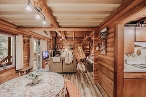 Mt. Baker Rim Cabin #17 - A Rustic Family Cabin With Modern Features!