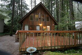 Snowline Cabin #35 - A Pet-friendly Country Cabin. Now has air Conditi