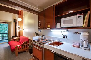 Snowline Lodge - Condo 56 - Sleeps 4 - Close to Mt Baker Now has Wifi