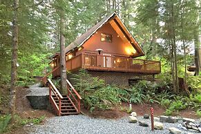 Snowline Cabin #98 A pet Friendly Cabin With a Wood Stove, hot tub and