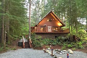 Snowline Cabin #98 A pet Friendly Cabin With a Wood Stove, hot tub and
