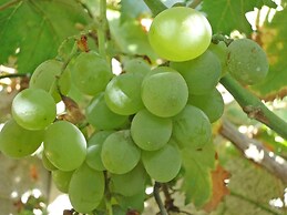 Fruit Tree Villa 3 Double Bedrooms With Spectacular Mountain Sea View