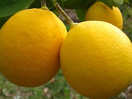 Pomegranate Cottage 1 Double Bedroom With Spectacular Mountain Sea Vie