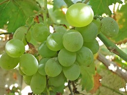 Pomegranate Cottage 1 Double Bedroom With Spectacular Mountain Sea Vie