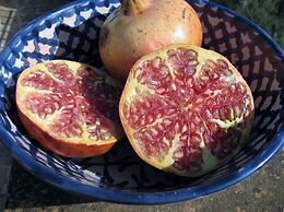 Pomegranate Cottage 1 Double Bedroom With Spectacular Mountain Sea Vie