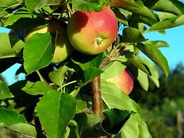 Pomegranate Cottage 1 Double Bedroom With Spectacular Mountain Sea Vie