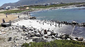 Come an Enjoy Cape Towns Best Kept Secret Kleinmond, 2 Hours From the 