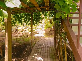 Room-arenal Xilopalo Room in Costa Rica