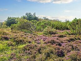 12 Person Holiday Home in Ringkobing-by Traum