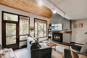 14sw - Pets OK - Fireplace, Sleeps 4!