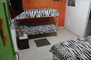 Room in Guest Room - Posada Green Sea in the Harmony Hall Hill Area of