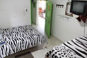 Room in Guest Room - Posada Green Sea in the Harmony Hall Hill Area of