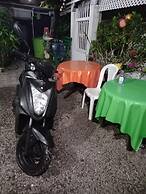 Room in Guest Room - Posada Green Sea in the Harmony Hall Hill Area of