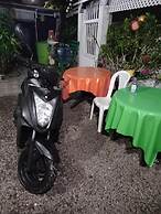 Room in Guest Room - Posada Green Sea San Luis Pesos With Breakfast In