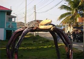 Room in Guest Room - Posada Green Sea San Luis Pesos With Breakfast In