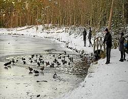 6 Person Holiday Home in Hjorring