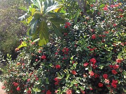 Villa Los Almendros - 2 Private Pools & Tennis & Pickle Ball