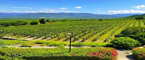 Villa Los Almendros - 2 Private Pools & Tennis & Pickle Ball