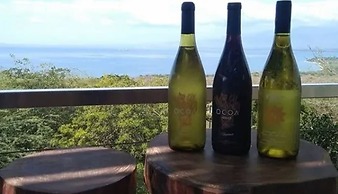 Villa Los Almendros - 2 Private Pools & Tennis & Pickle Ball