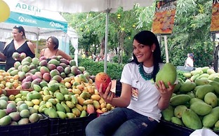 Villa Los Almendros - 2 Private Pools & Tennis & Pickle Ball