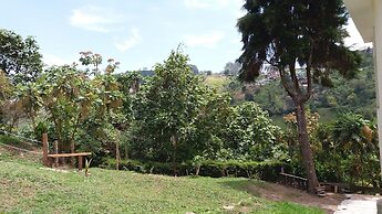 Tranquility, Fresh Air, Birds-eye View, Green Areas, Panoramic View