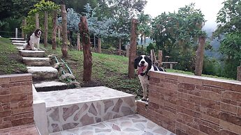 Tranquility, Fresh Air, Birds-eye View, Green Areas, Panoramic View