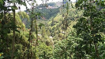 Tranquility, Fresh Air, Birds-eye View, Green Areas, Panoramic View