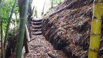 Tranquility, Fresh Air, Birds-eye View, Green Areas, Panoramic View