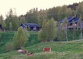 6 Person Holiday Home in Nordli-by Traum