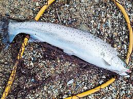 Modern Retreat With Spa - By Traum Ferienwohnungen