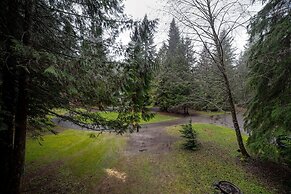 Snowline Cabin #48 - A Classic Family Cabin With an Outdoor Hot Tub!