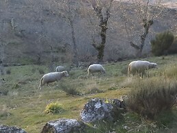Comfortable Rural Cottage in Ancient Village in the Douro Region
