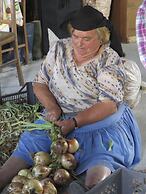 Comfortable Rural Cottage in Ancient Village in the Douro Region