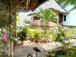 Beach Front Nicky Villa