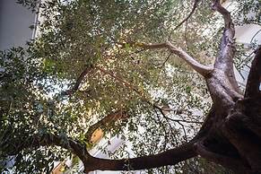 The H Experience Boutique Apartments Athens