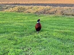 Alluring Holiday Home in Syddanmark near Sea