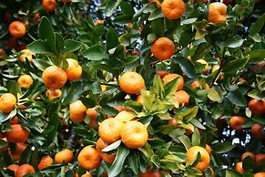 Seaside House 2 Double Bedrooms With Spectacular Mountain Sea View