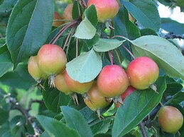 Seaside House 2 Double Bedrooms With Spectacular Mountain Sea View